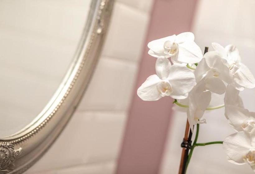 مبيت وإفطار Tarnóca Kúria