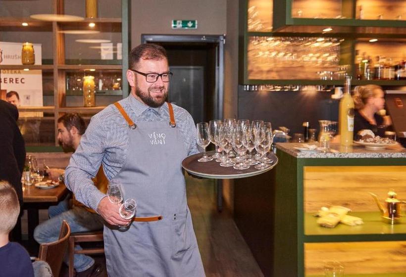 Exclusive Pension Vista Mlada Boleslav