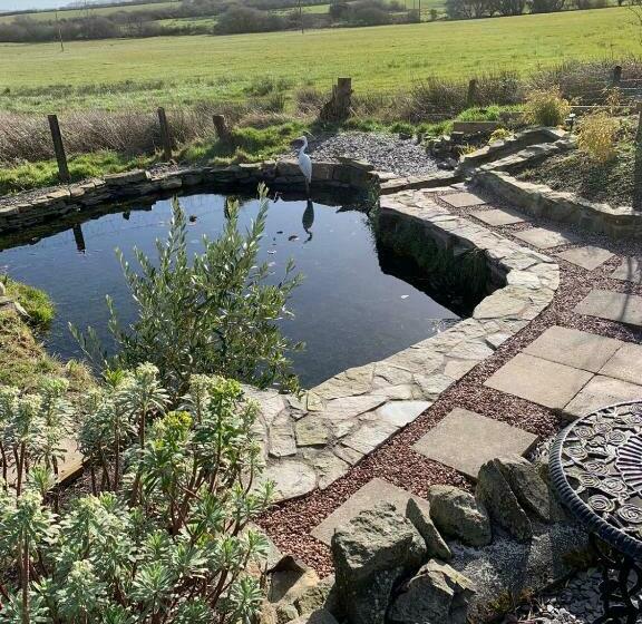 Frongaer Bed And Breakfast