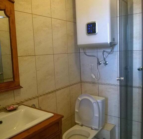 בית מלון כפרי арт готель династія