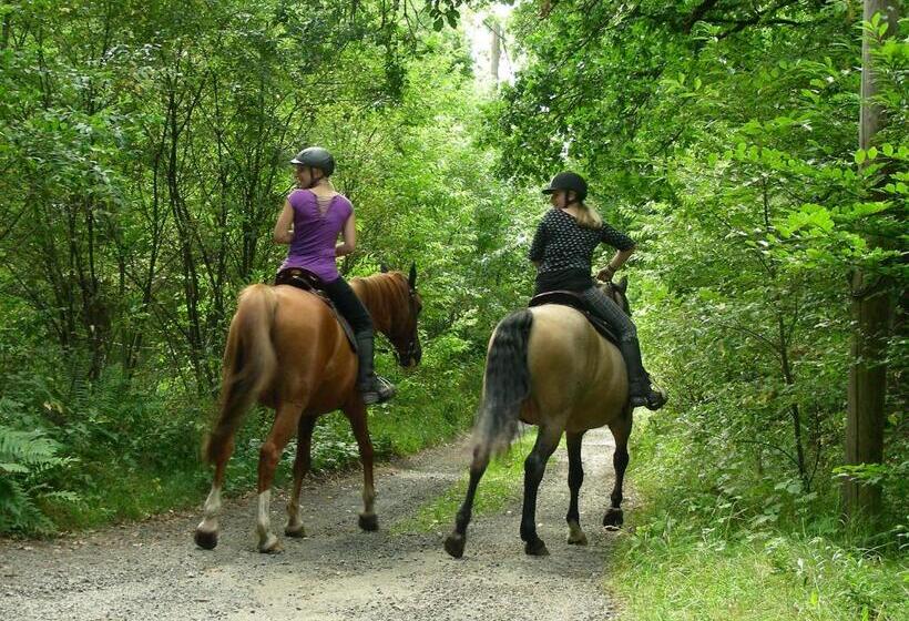 호텔 Blick Zum Maimont