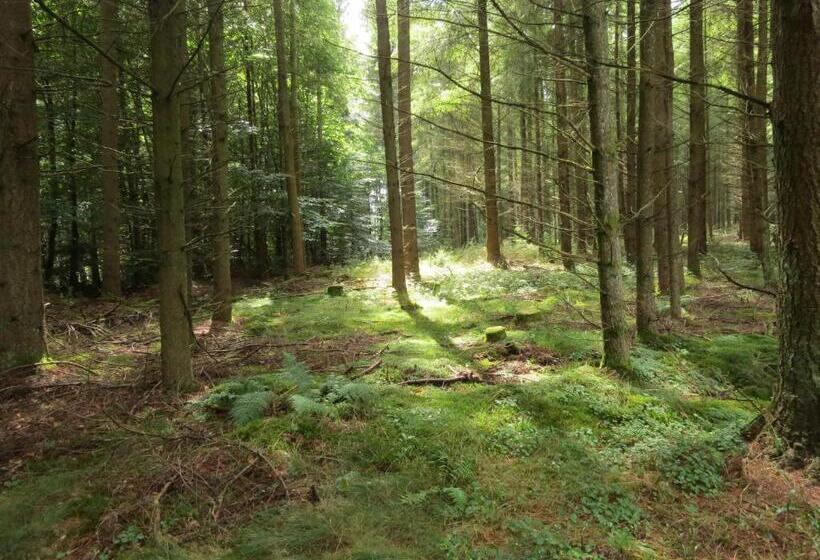 호텔 Blick Zum Maimont