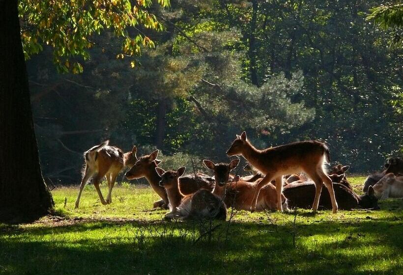 ホテル Blick Zum Maimont