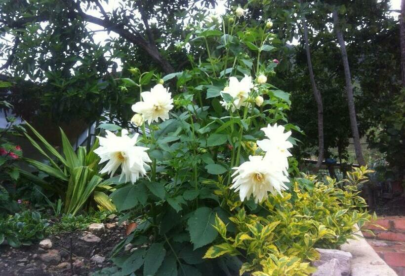 ホテル Casa Medina