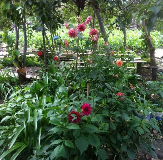 ホテル Casa Medina