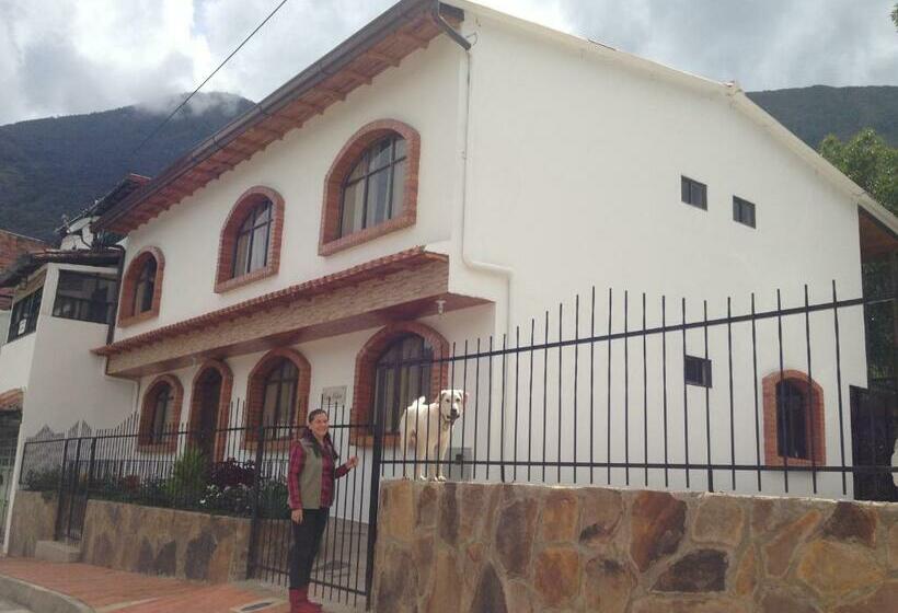 ホテル Casa Medina