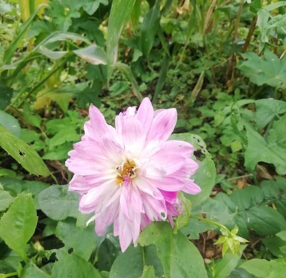 ホテル Casa Medina