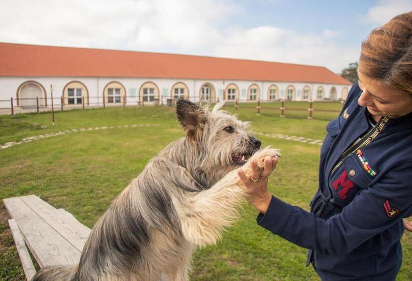 酒店 Chalets Franciska Major, Pro Village