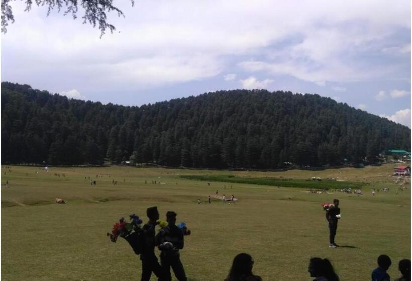 Отель Cozy Swiss Meadows