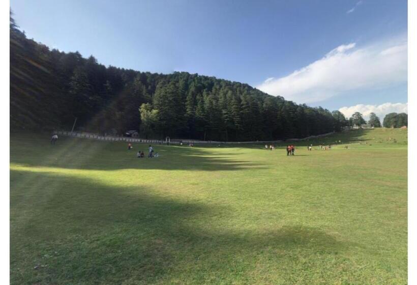 Отель Cozy Swiss Meadows