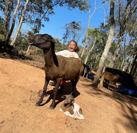 ホテル Fazenda Minas Real