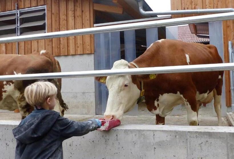 酒店 Ferienbauernhof Storchenhäusle