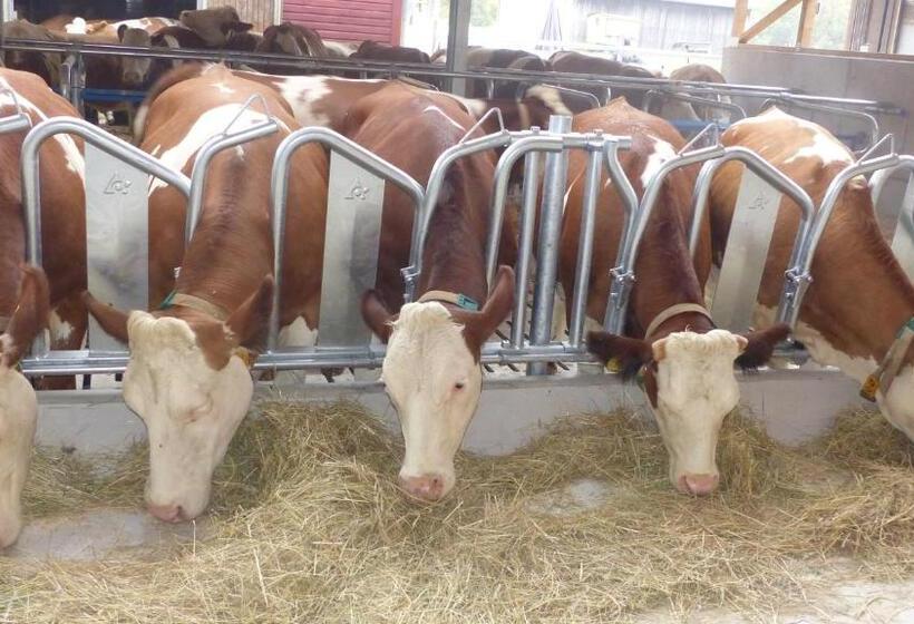 酒店 Ferienbauernhof Storchenhäusle