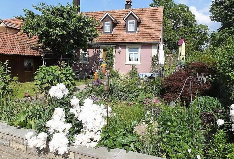 酒店 Ferienbauernhof Storchenhäusle