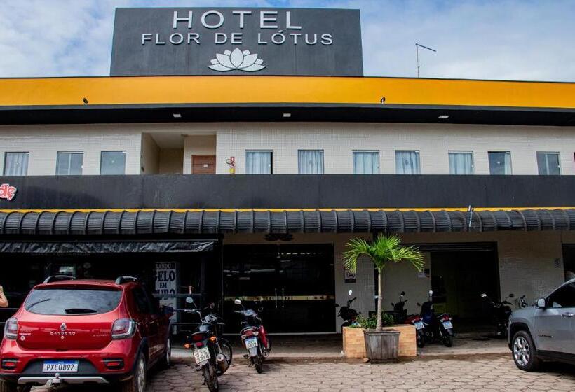 Отель Flor De Lotus