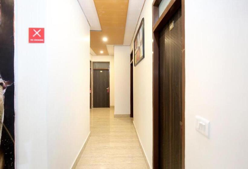 호텔 Collection O Gold Star