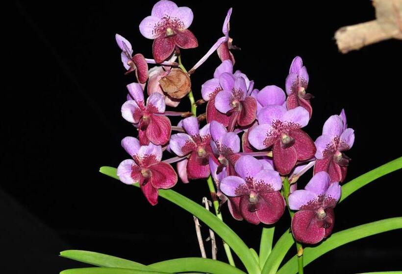 酒店 Hostal La Casa De Rodrigo