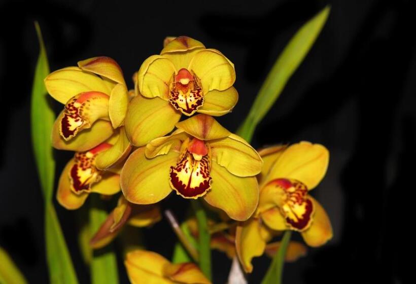 Отель Hostal La Casa De Rodrigo