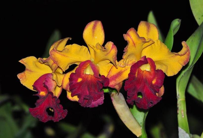 酒店 Hostal La Casa De Rodrigo