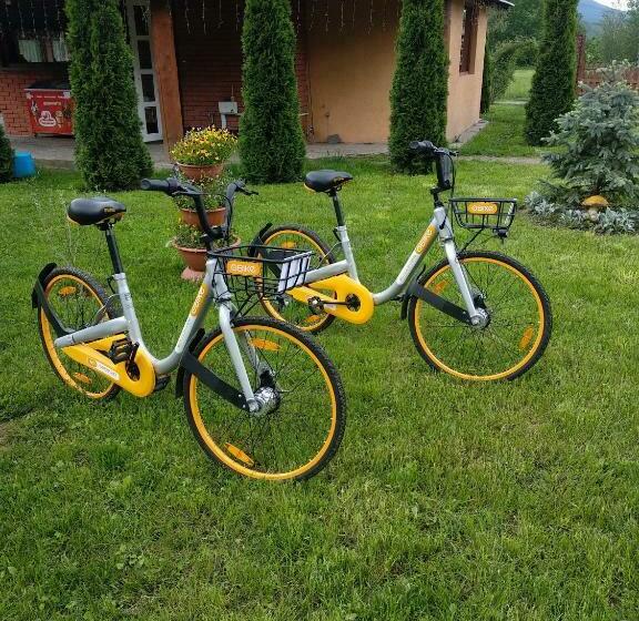 Отель Karpatska Forel