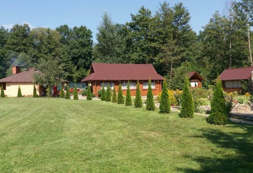 Отель Karpatska Forel