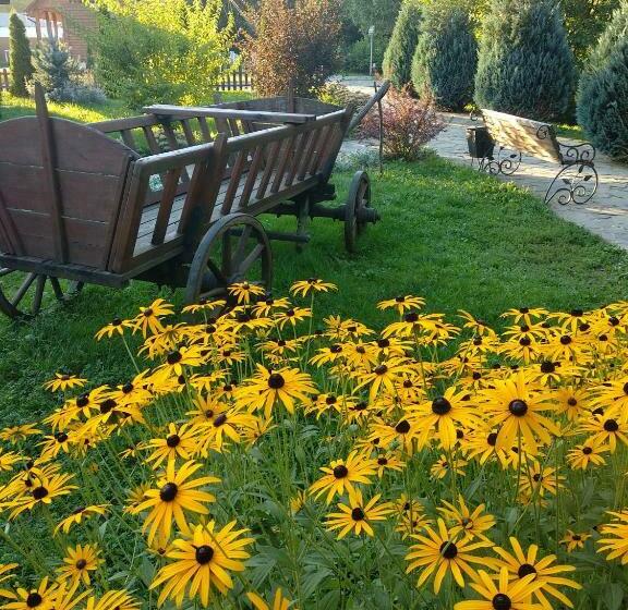 Отель Karpatska Forel