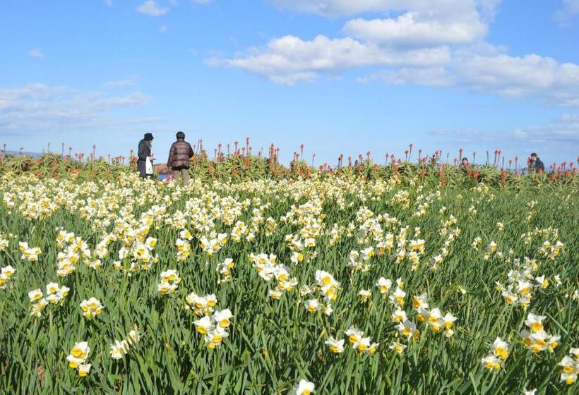 호텔 自家源泉の宿 竜宮の使い Ryugu No Tsukai