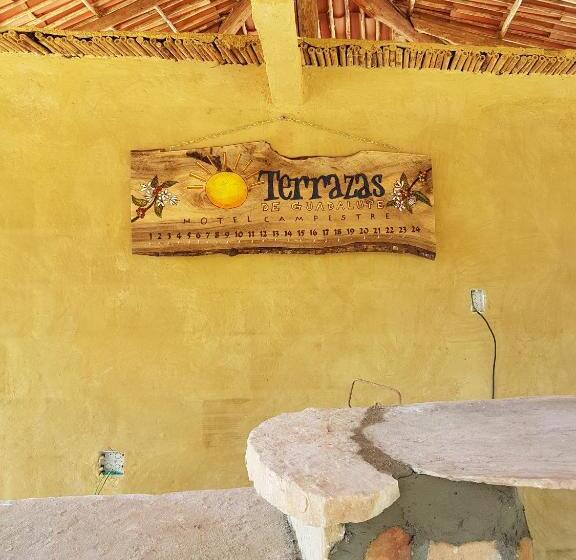 Отель Terrazas De Guadalupe