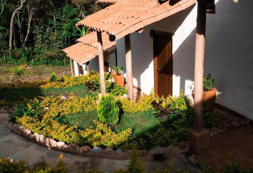 Отель Terrazas De Guadalupe