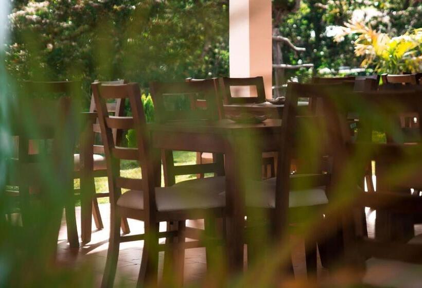 Отель Terrazas De Guadalupe