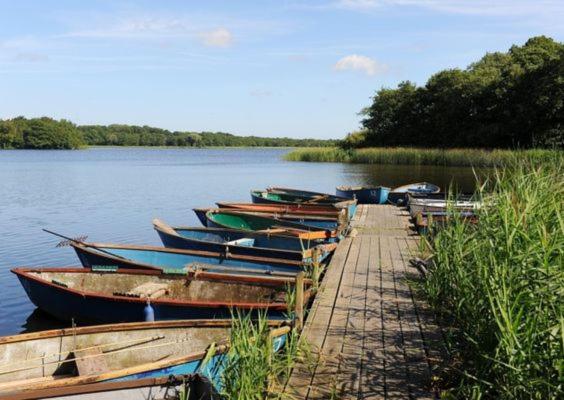 호텔 The Kings Arms - Fleggburgh