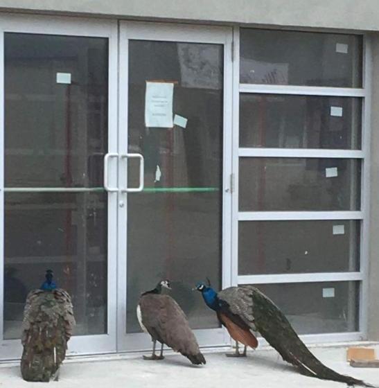 ホテル The Souris