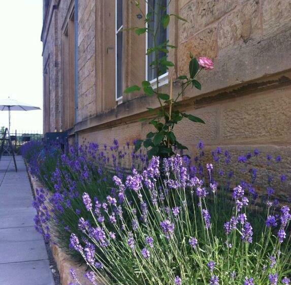 ホテル Zum Bahnhof 1894