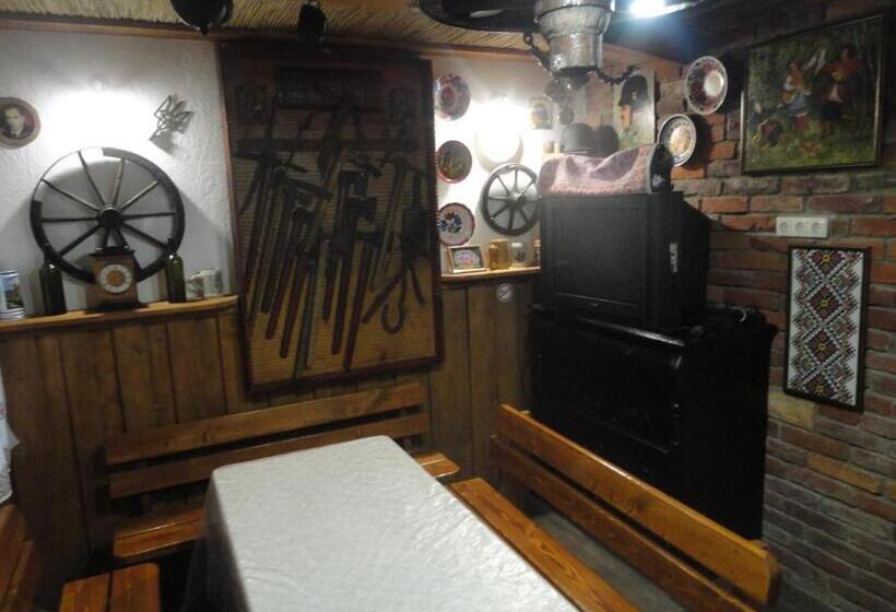 پانسیون готель гостьовий дім In Stryj