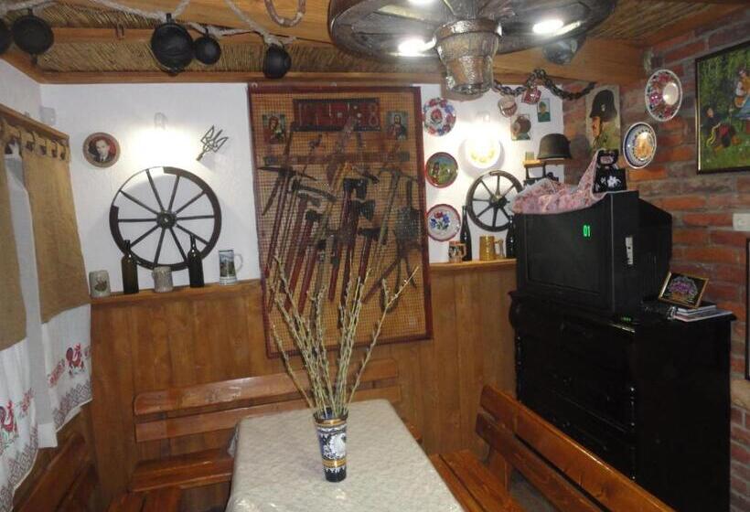 پانسیون готель гостьовий дім In Stryj