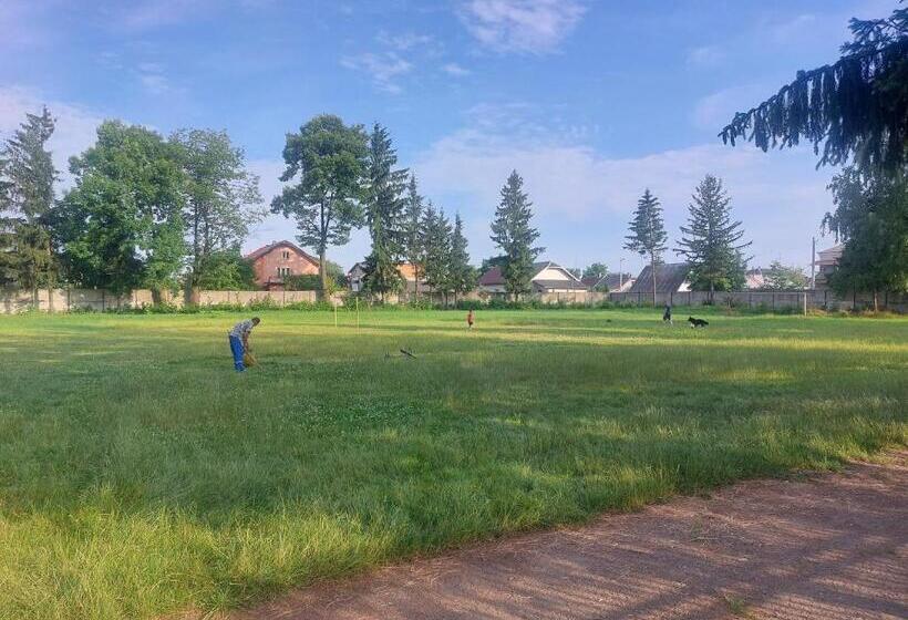 پانسیون готель гостьовий дім In Stryj