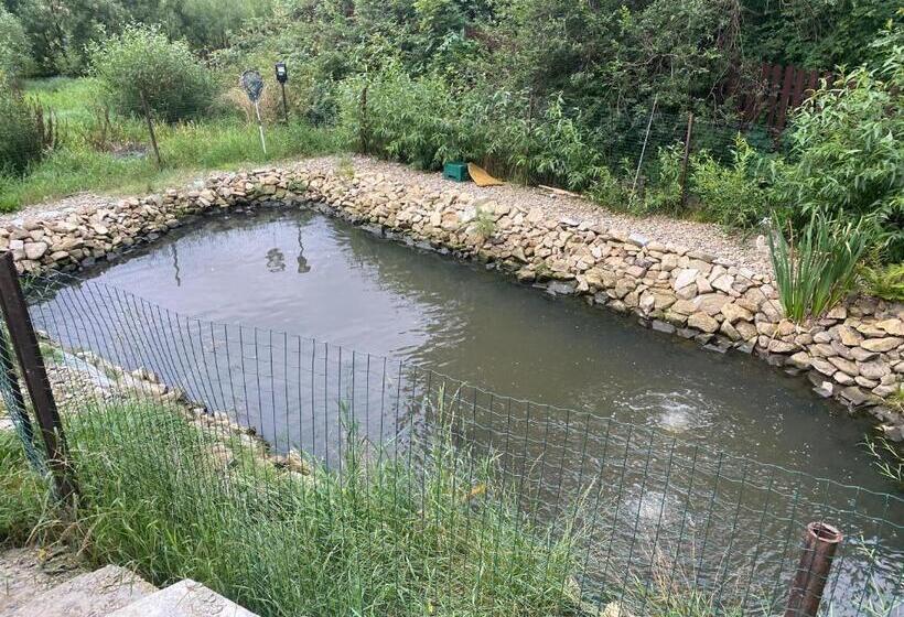 Pensjonat чорногора