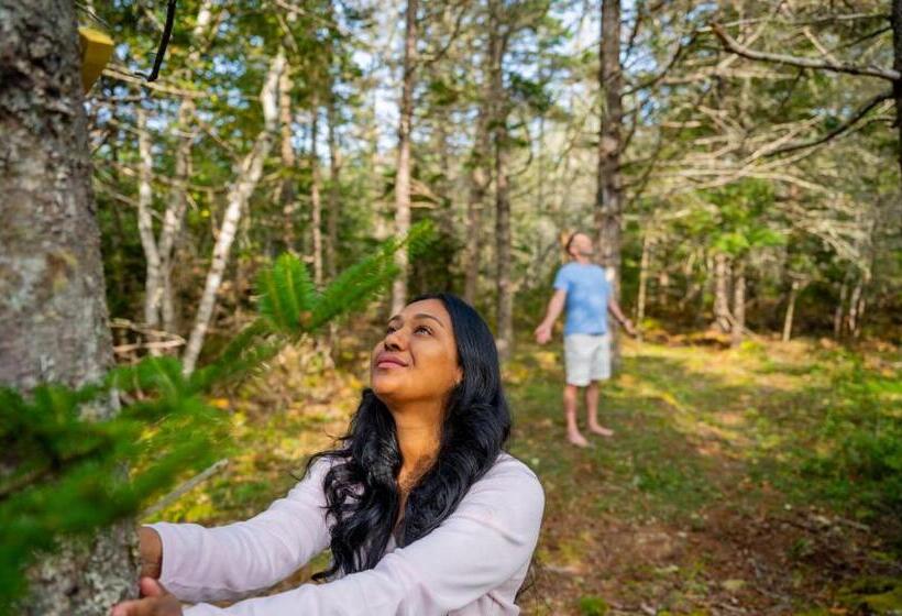 펜션 Auberge Thon Jaune   Yellow Tuna