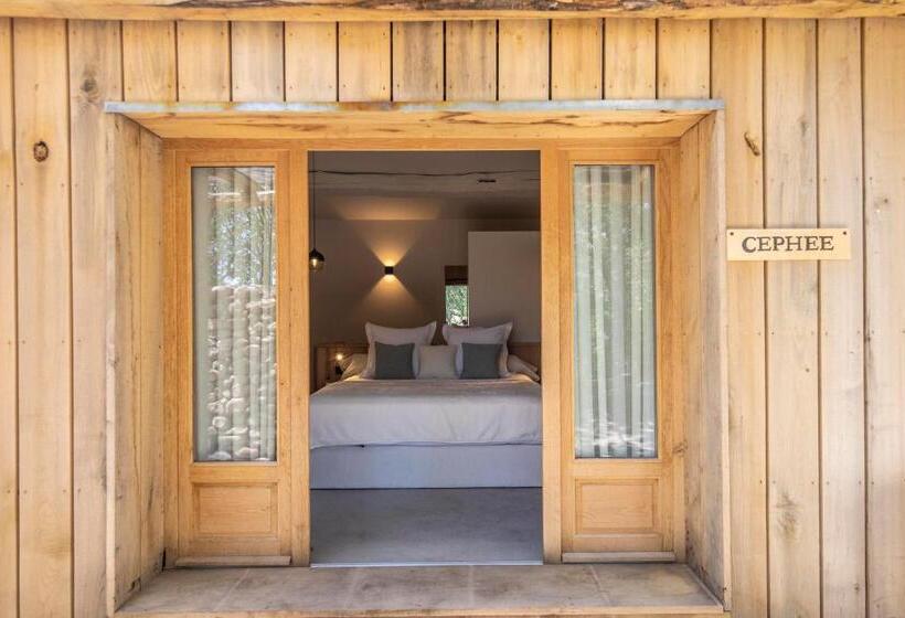 Пансион Domaine De Casanghjulina