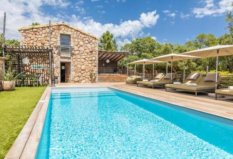 Пансион Domaine De Casanghjulina