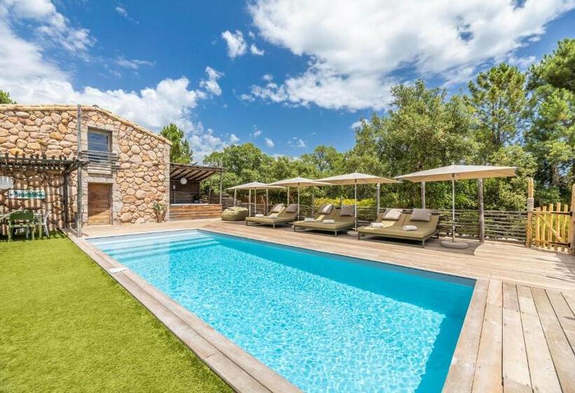 Пансион Domaine De Casanghjulina