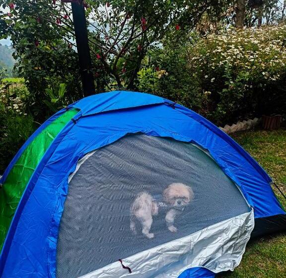 膳宿费 Jmt Eco Binsar By Stayapart