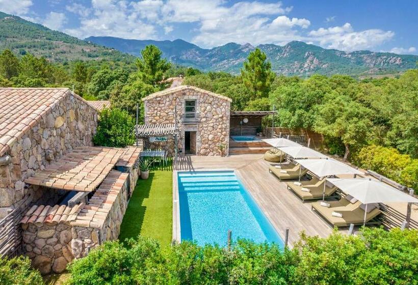 Пансион Domaine De Casanghjulina