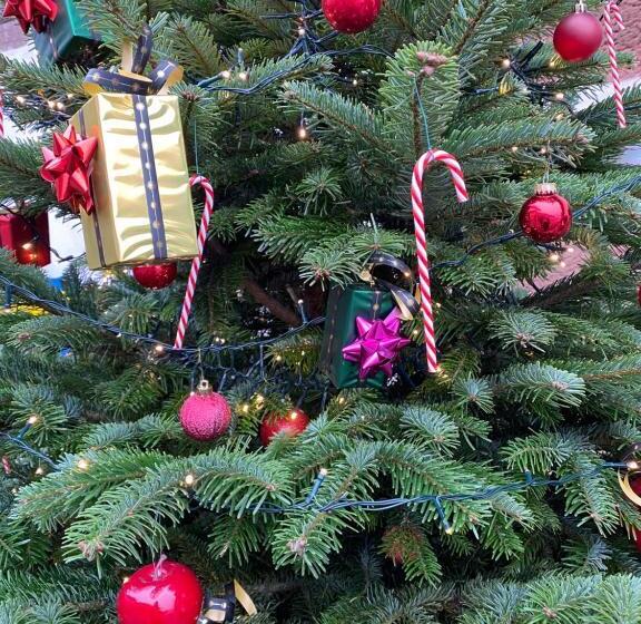 膳宿费 Le Nid De Cigognes