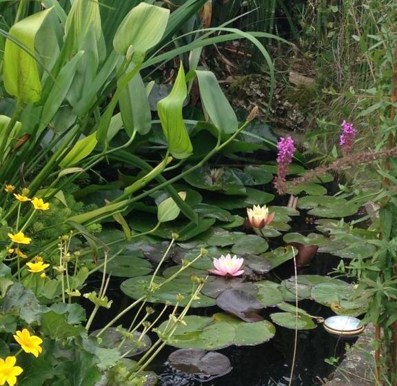 펜션 Maison D'hôtes Les Rainettes