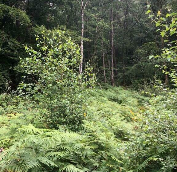 펜션 Merlin Les Pieds Dans L Eau