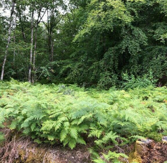 膳宿费 Merlin Les Pieds Dans L Eau