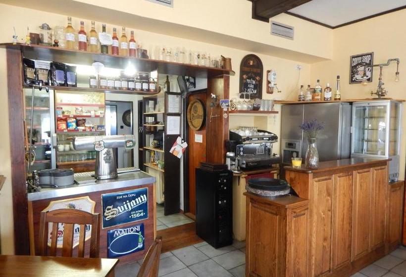 Пансион Penzion Dřevěnka