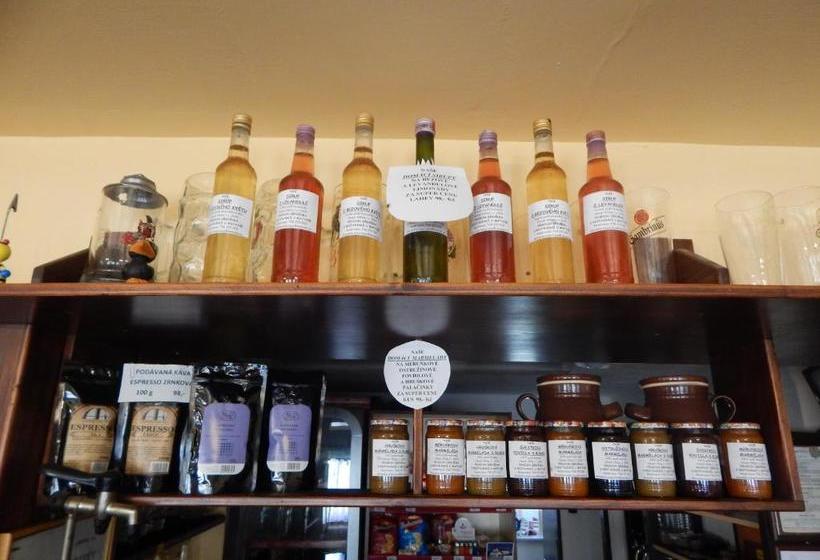 Пансион Penzion Dřevěnka