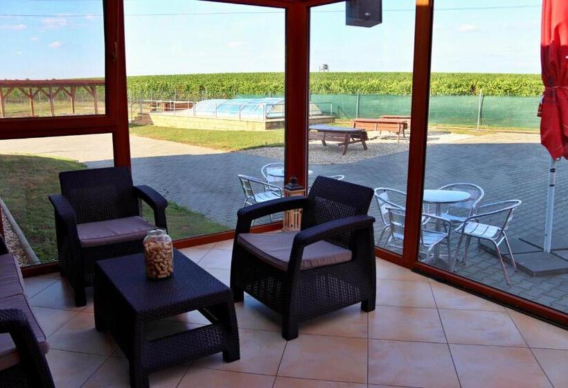 פנסיון Penzion Kosík Tvrdonice